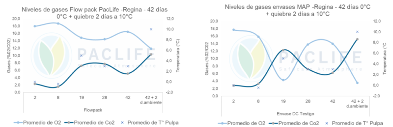 Gas Tracking in Flowpack Paclife versus Traditional MAP Packaging in Regina Cherry Variety, Chile