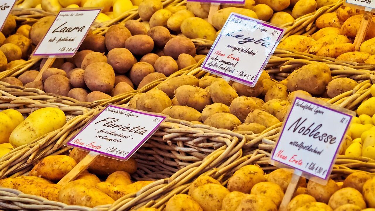 potatoes-g44e68d19b_1280-e1661955985896.jpg