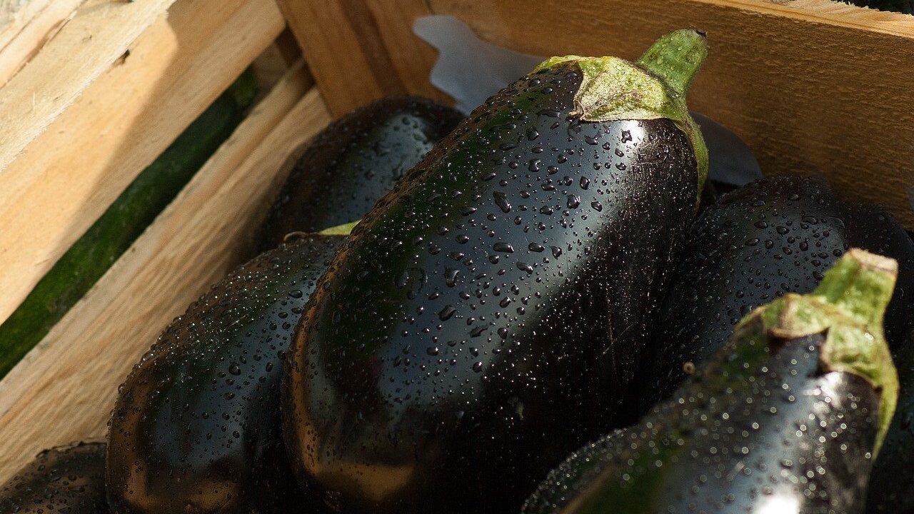 eggplants-g5551e28e0_1280-e1665132712953.jpg