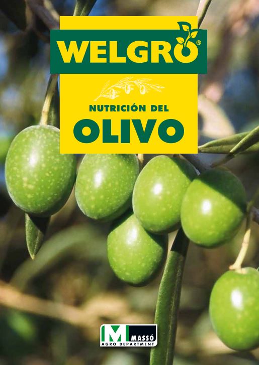 Massó-Nutrición_olivo.jpg