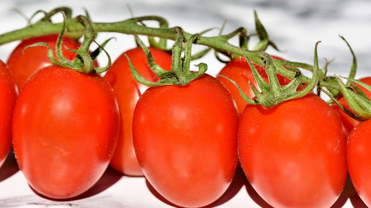 tomatoes-3480643_1280.jpg