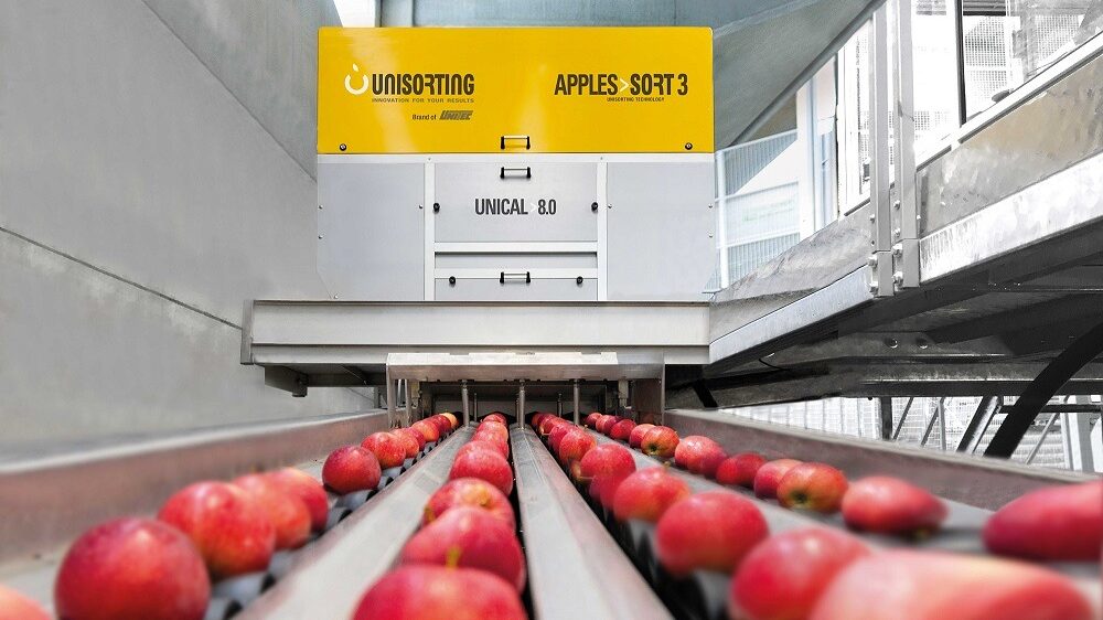 Unisorting-brand-of-UNITEC-Apples-Sort-3-e1669041157711.jpg