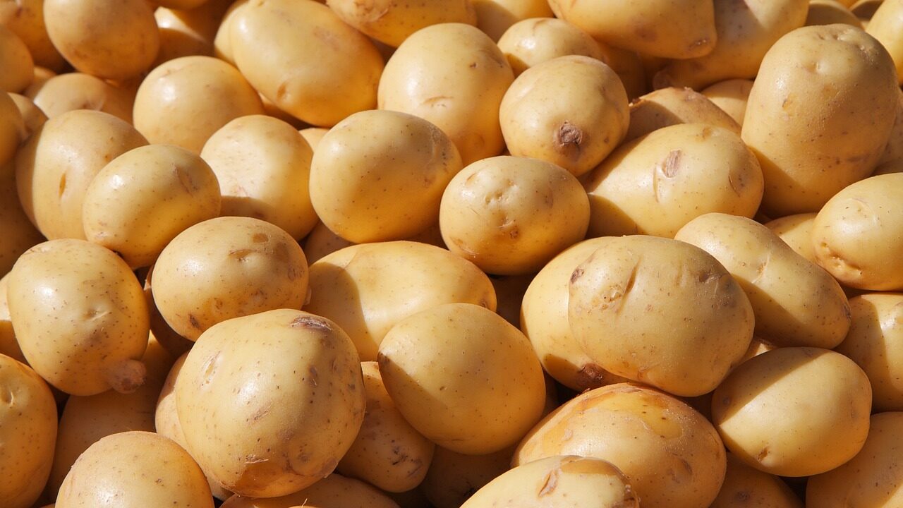 potato-g86a226642_1280-e1669195696389.jpg