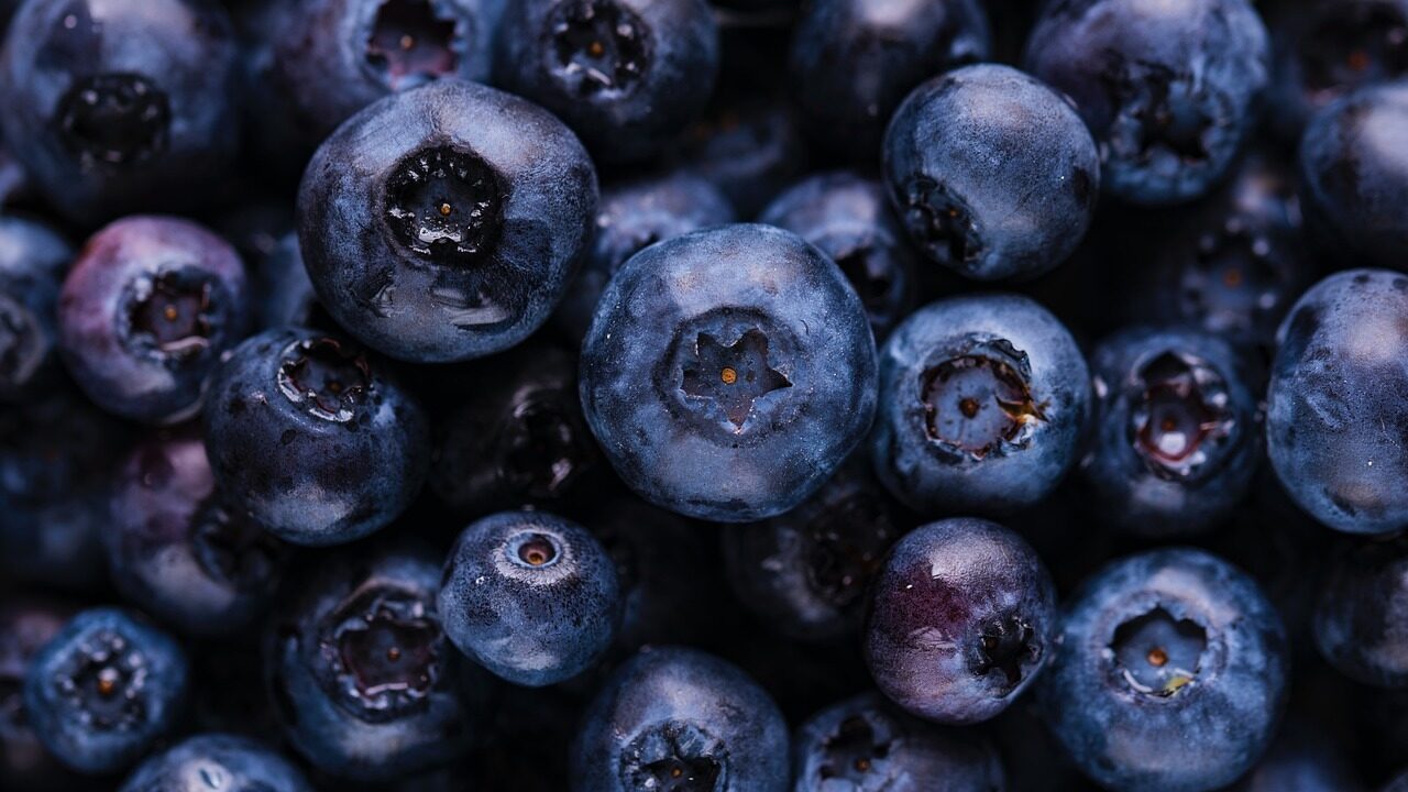 blueberries-ge49b78354_1280-e1669676331872.jpg