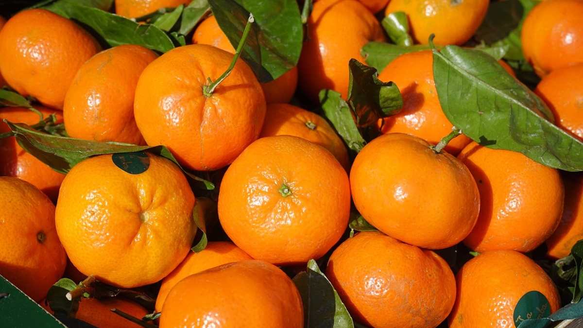 clementines-318210_1280.jpg