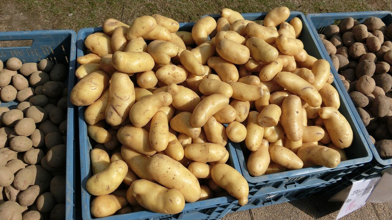 potatoes-geb8f081b8_1280-e1671461835598.jpg