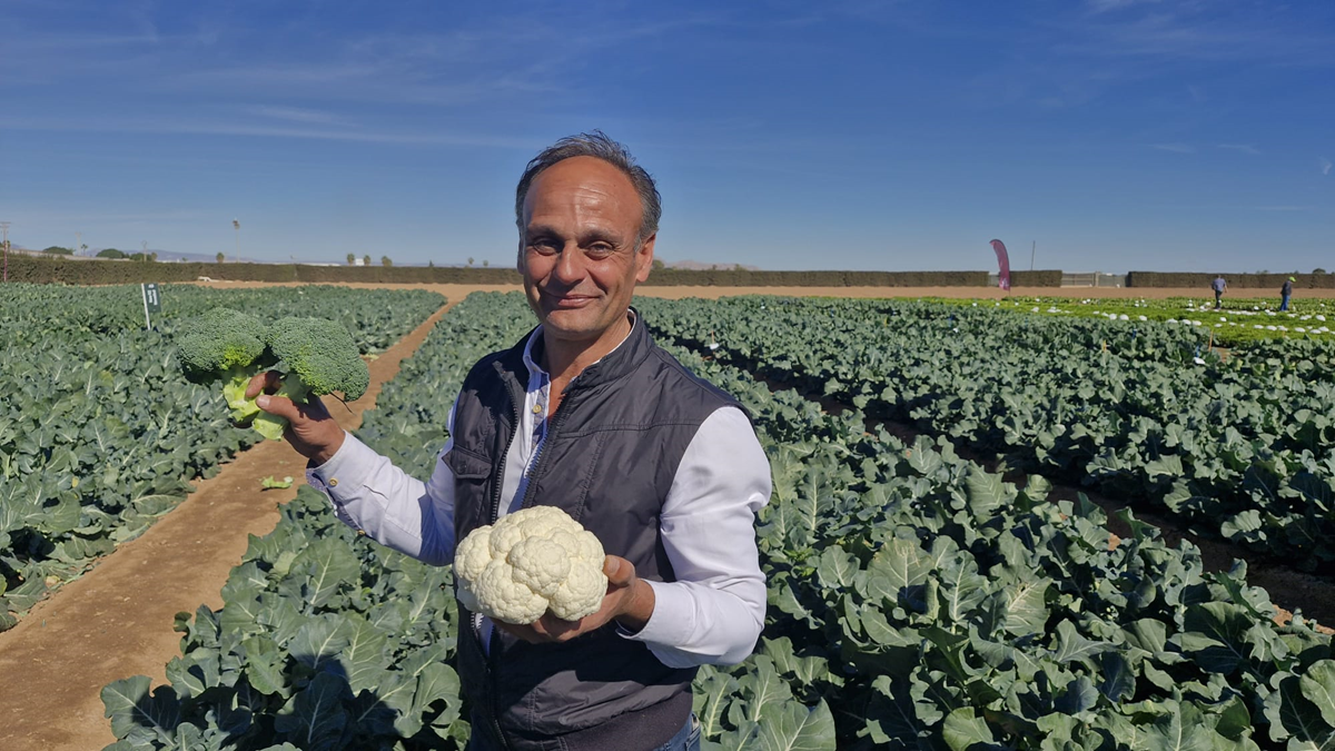 Jose Hernández, técnico especialista en cultivo de Brásicas