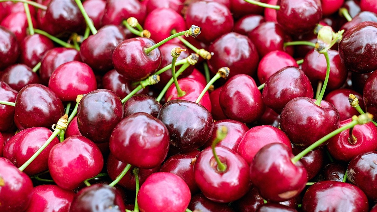 cherry-1453332_1280.jpg