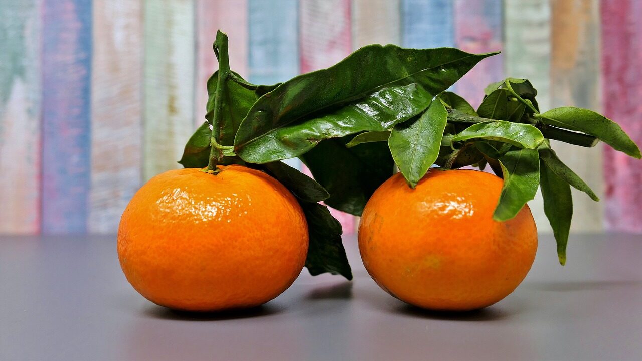 mandarins-gf656513db_1280-e1676298735711.jpg