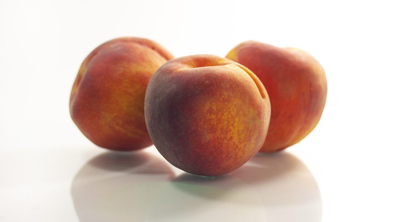 peach-g52857c61e_1280-e1680519473827.jpg