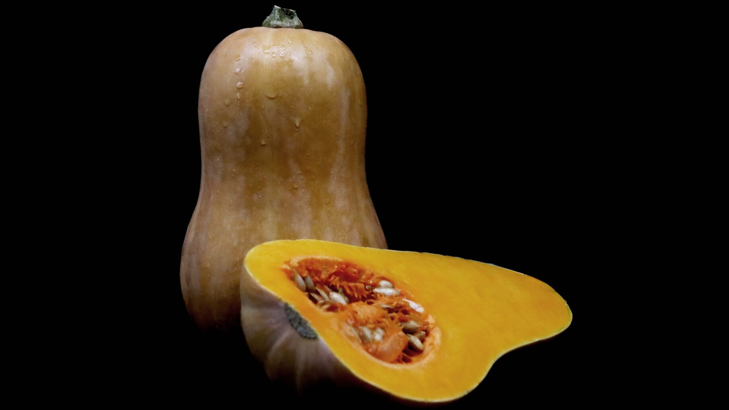 Butternut-Sakata-scaled-e1695748611304.jpg