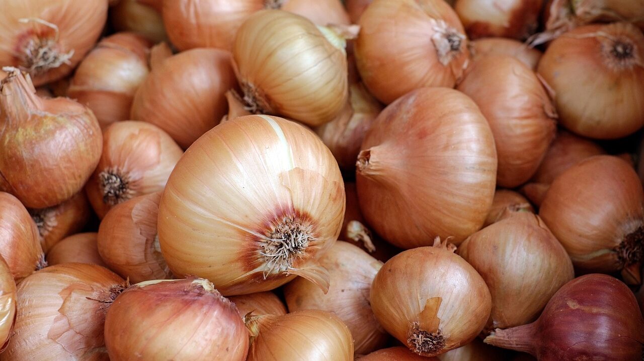 onions-1397037_1280-e1698699255525.jpg