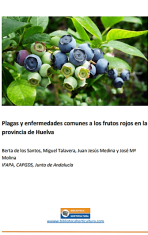 frutos-e1596634611493.png