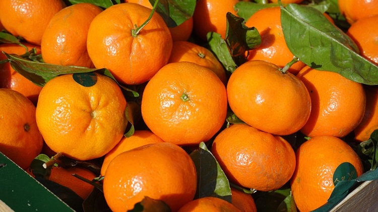 clementines-318210_1280.jpg