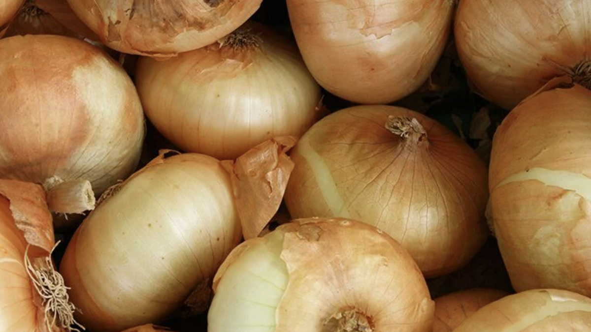 Onions.png