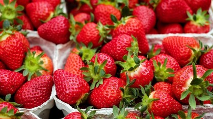 strawberries-g6ce0b4080_1280-e1684788601724.jpg