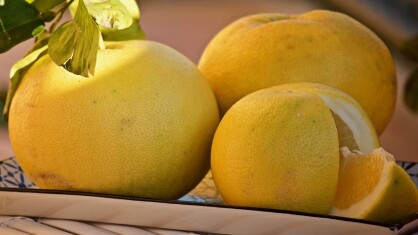 grapefruits-g6ea032c51_1280-e1681914417771.jpg