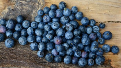 blueberries-2270379_1280-e1687851814407.jpg