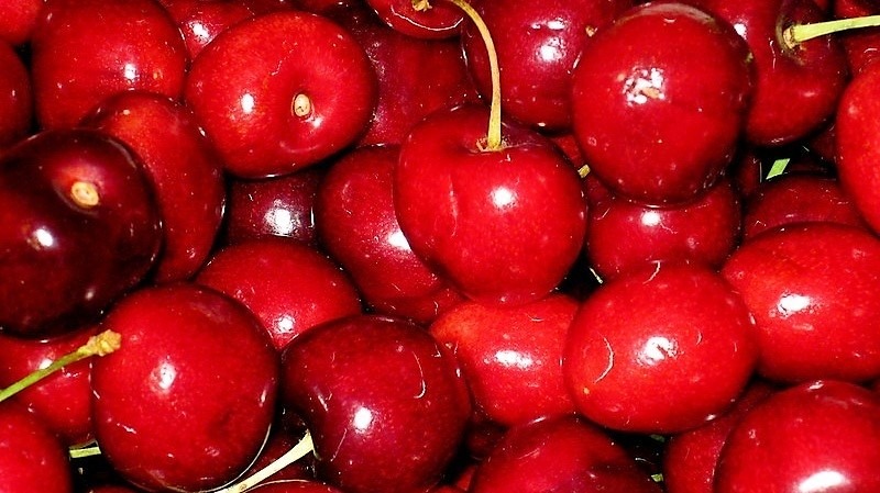 cerezas.jpg