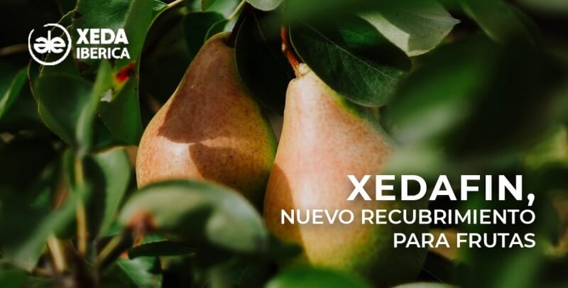 Xeda-Xedafin-nuevo-recubrimiento-para-frutas-1c.jpg