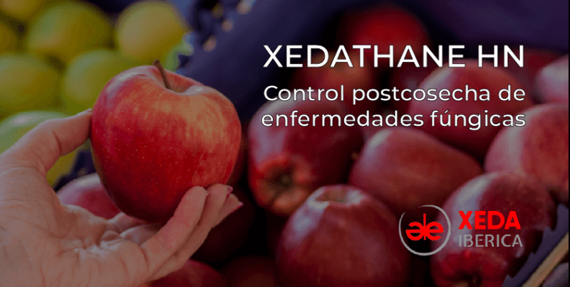 Xeda-XEDATHANE-HN-control-poscosecha-de-las-enfermedades-1c.png