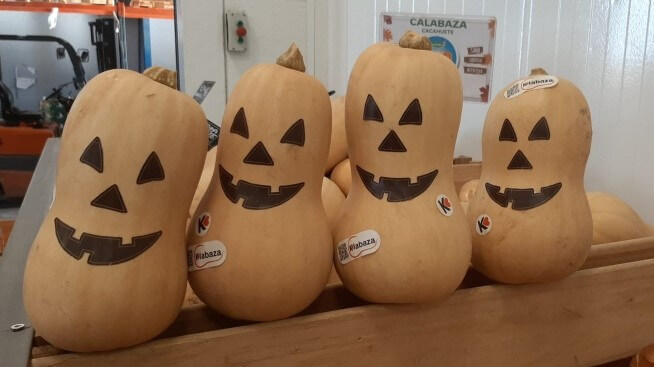 Halloween-se-reinventa-con-la-calabaza-cultivada-1-2-1c.jpeg