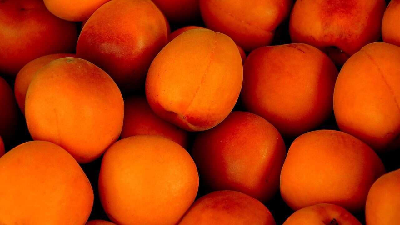 apricots-g940c711d6_1280-e1661770062520.jpg