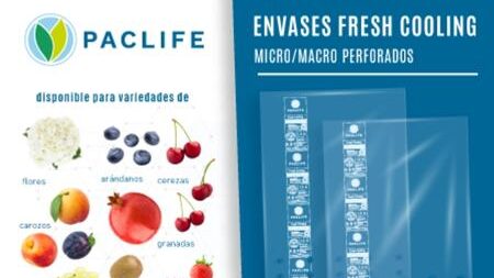 paclife-e1661333299813.jpg