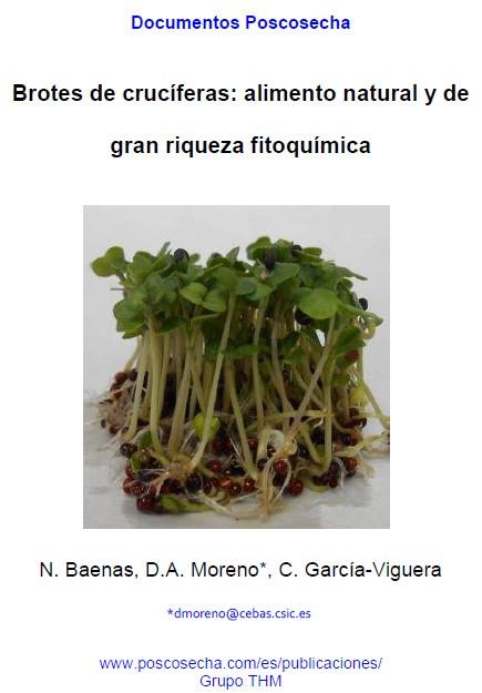 Brotes de crucíferas: alimento natural y de gran riqueza fitoquímica