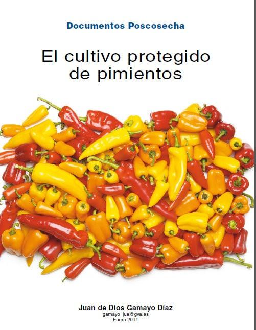 El cultivo protegido de pimientos