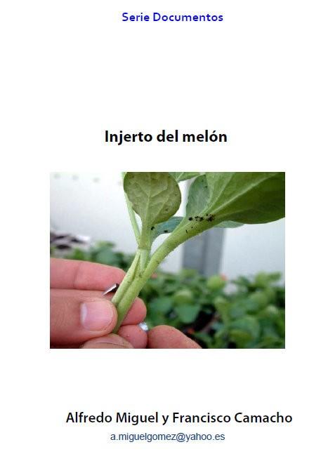 Injerto de melón