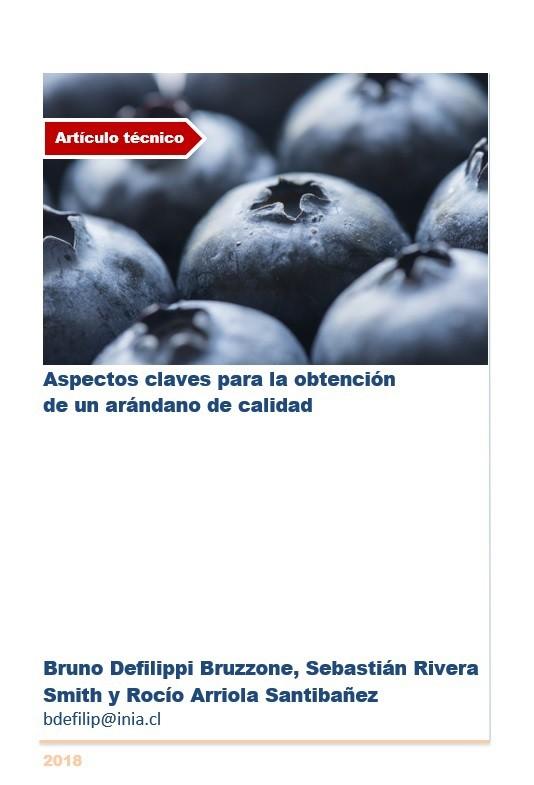 Aspectos claves para la obtención  de un arándano de calidad