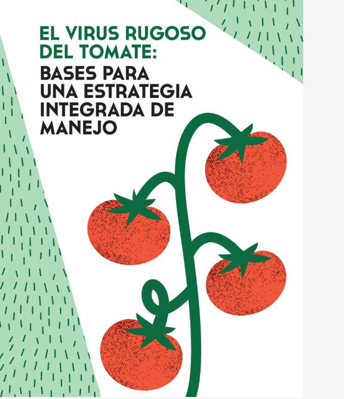 El virus rugoso del tomate