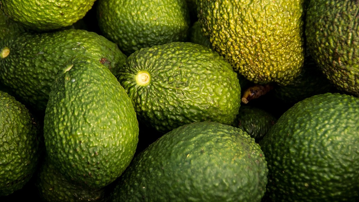 avocados-882635_1280.jpg