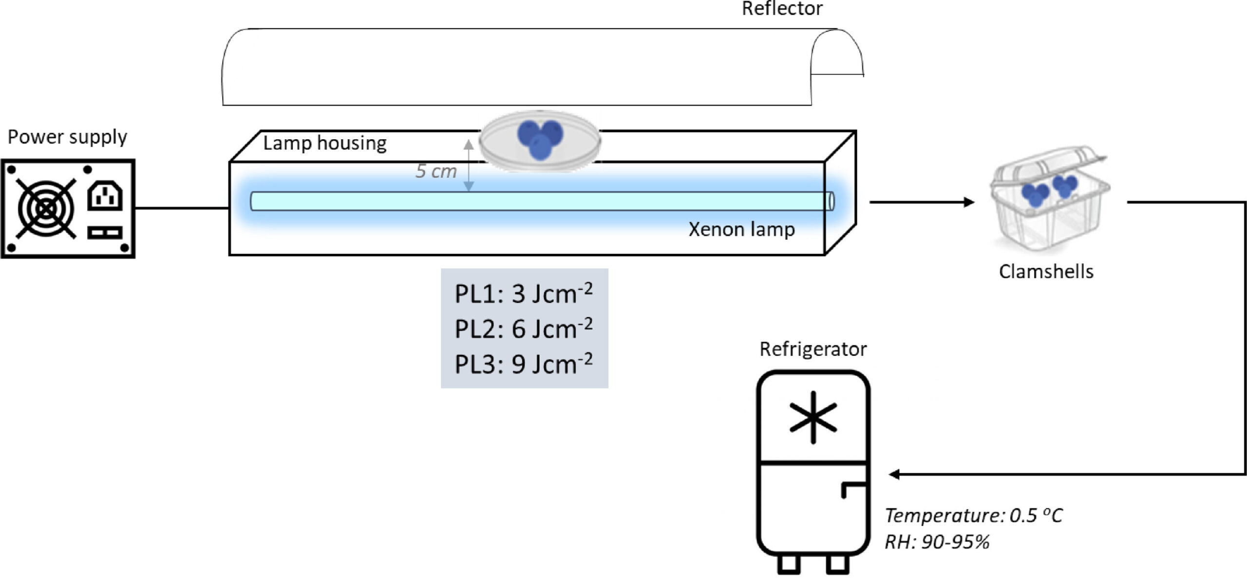 Pulsed-light-scaled.jpg