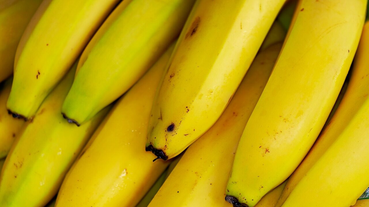 bananas-g3a54a4c8f_1280-e1677833181443.jpg