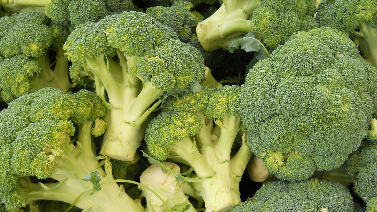 broccoli-g6b25e790d_1280-e1679992686411.jpg