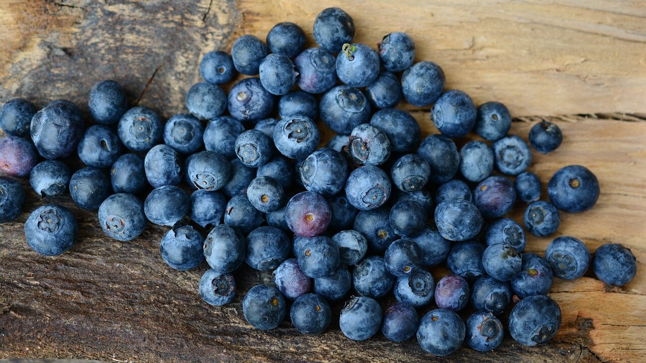 blueberries-2270379_1280-e1687851814407.jpg