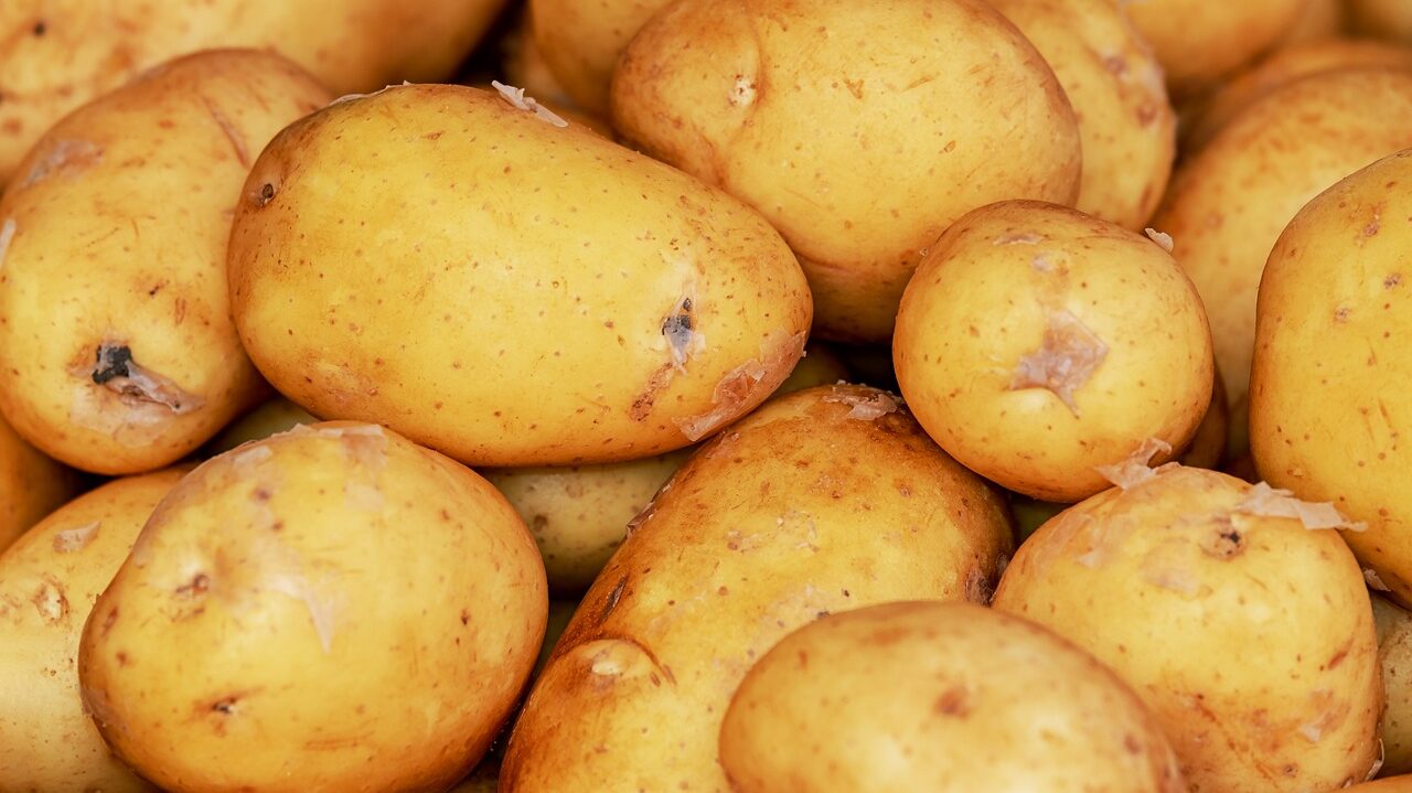 potatoes-3440333_1280-e1695659131968.jpg