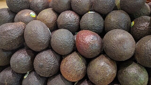 AGQ-Labs-aguacates.jpg