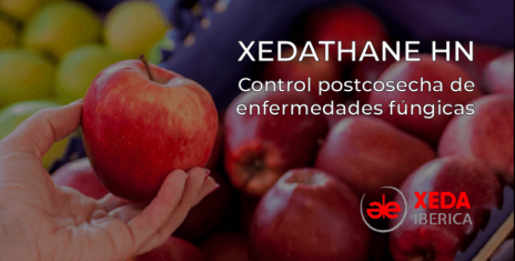 Xeda-XEDATHANE-HN-control-poscosecha-de-las-enfermedades-1c.png