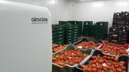 Nemeskert-Ltd-confía-en-la-tecnología-Airocide-para-reducir-el-porcentaje-de-podridos-en-tomate.jpeg