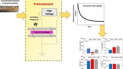 plasma-frio-deshidratacion-e1663070017391.jpg