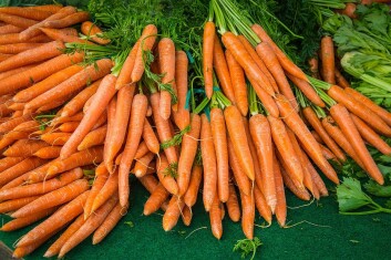 carrot-gd20b32fe8_1280.jpg