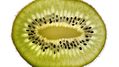 kiwi-g16a202899_1280-e1671488338313.png