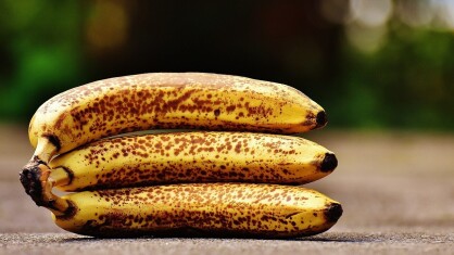 bananas-gea93ac1a9_1280-e1671705385202.jpg