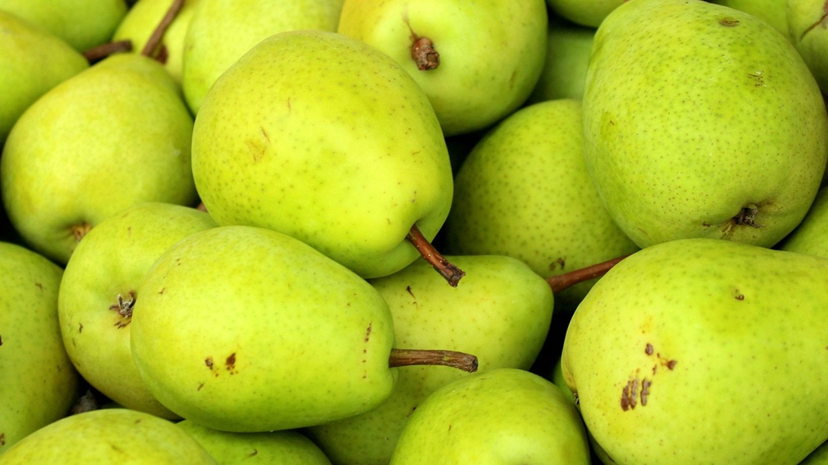 pears-4557353_1280.jpg