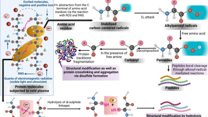 protein-modification-b-2-e1681380779654.jpg