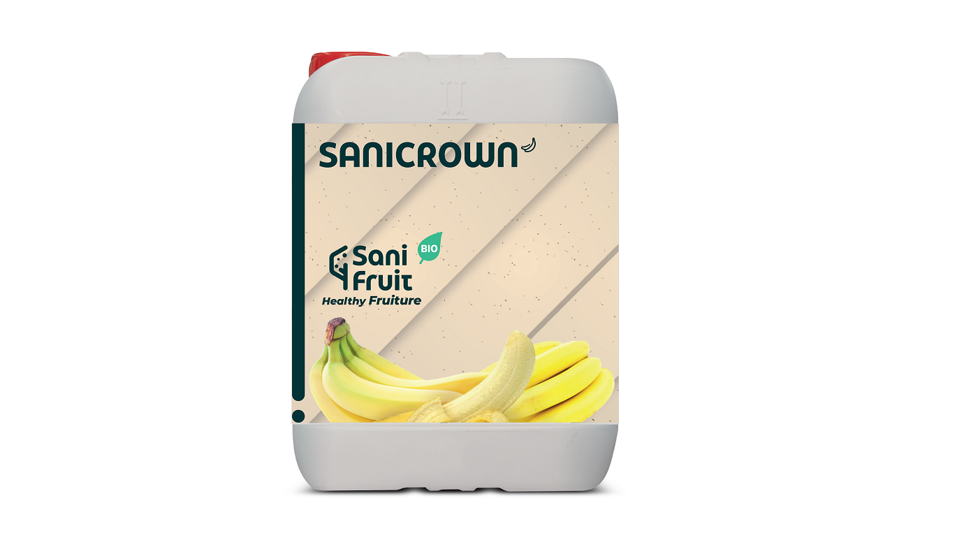 SANICROWN.png